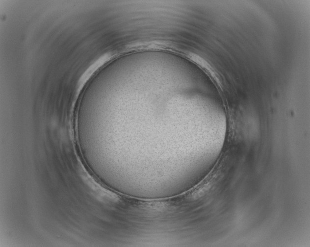 X0000074311090200609011506