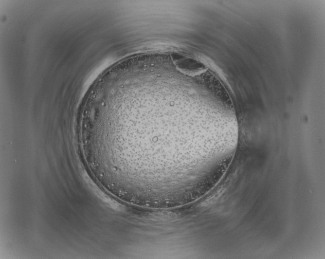 X0000074311091200609011506