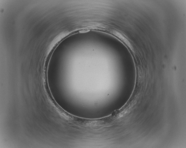 X0000074311093200609011506