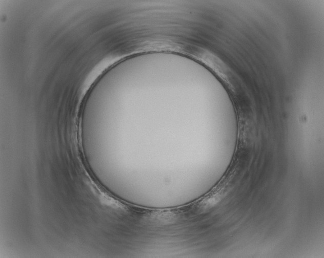 X0000074311094200609011506