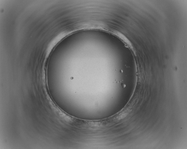 X0000074311096200609011506