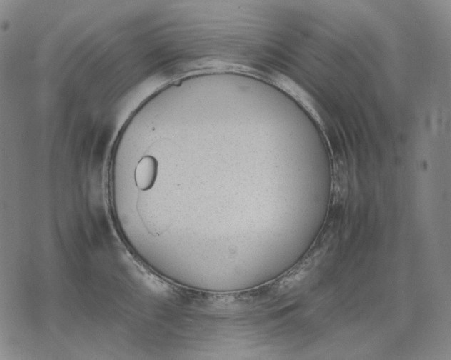 X0000074311098200609011506