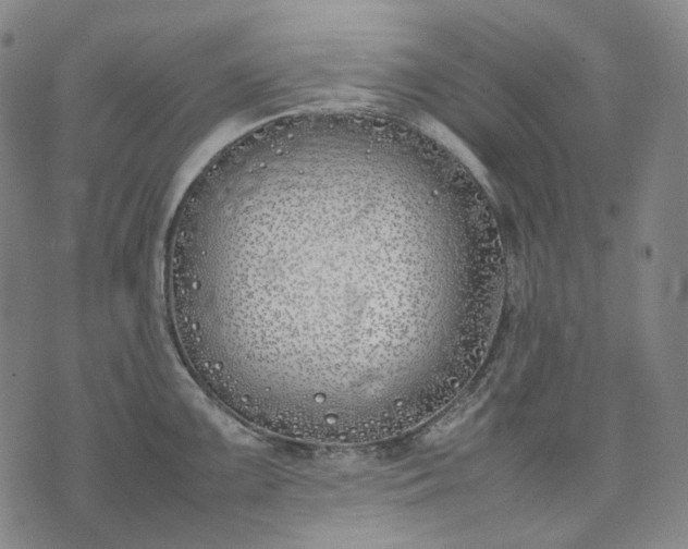 X0000074311099200609011506