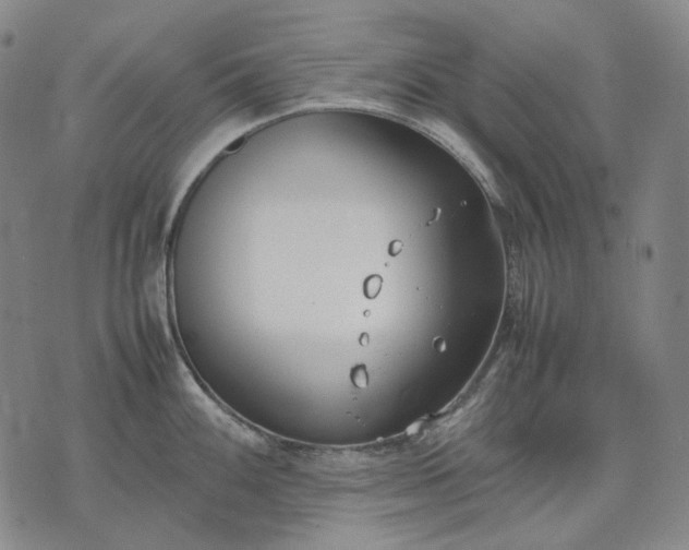 X0000074311100200609011506