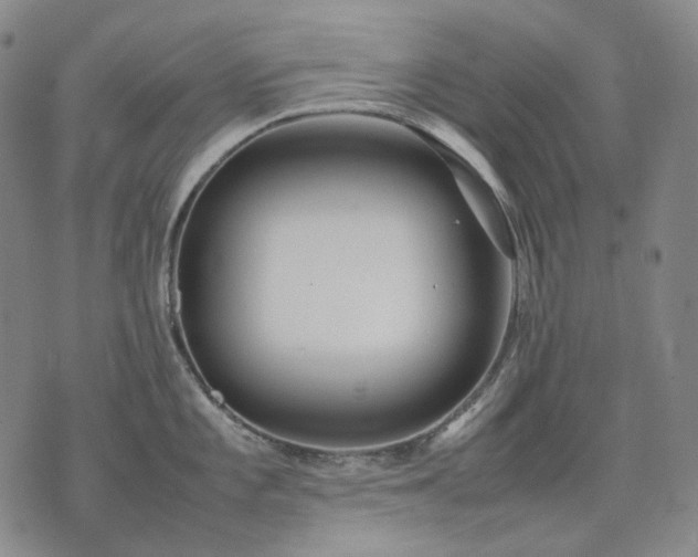 X0000074311101200609011506