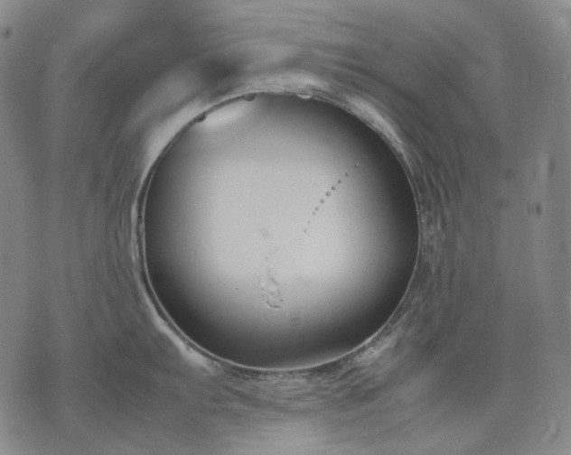 X0000074311103200609011506