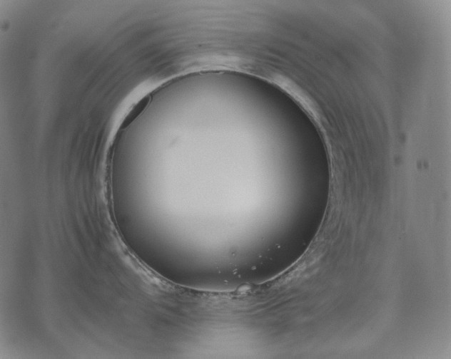 X0000074311104200609011506