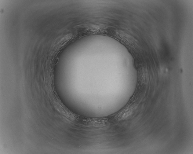 X0000074311105200609011505