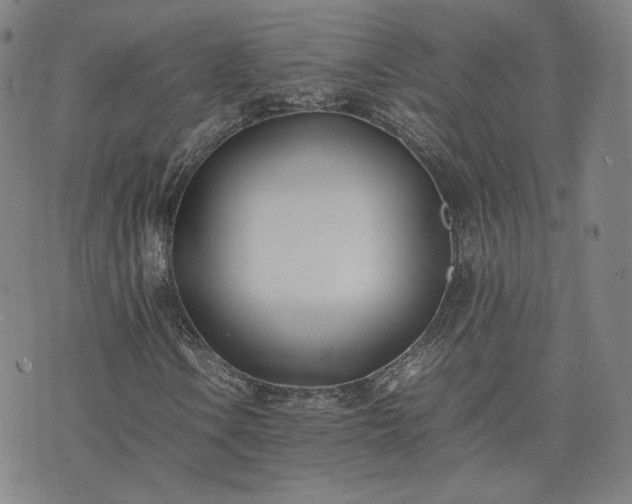 X0000074311106200609011505