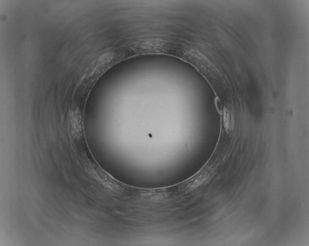 X0000074311107200609011505