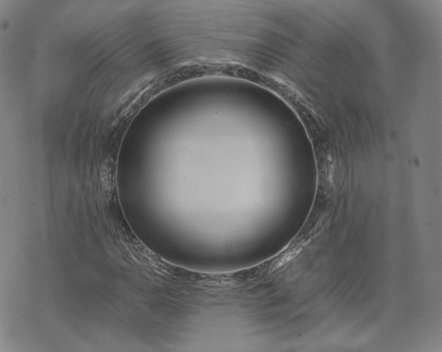 X0000074311110200609011505