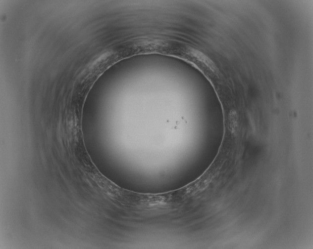 X0000074311111200609011505