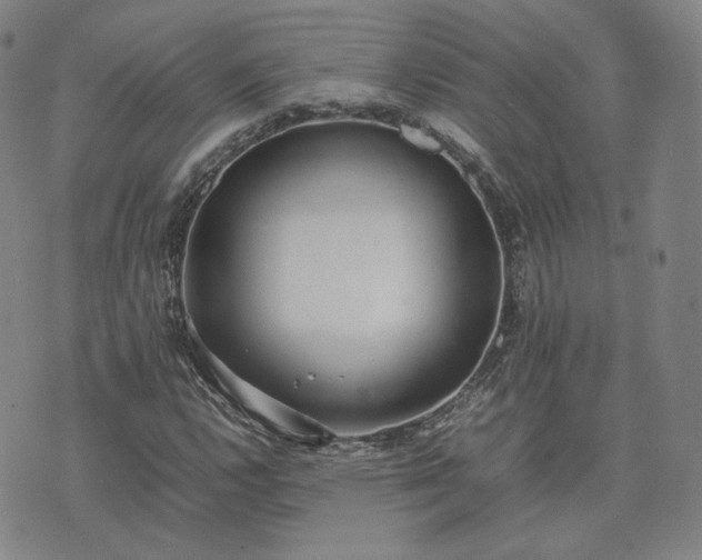 X0000074311112200609011505