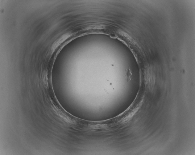 X0000074311113200609011505