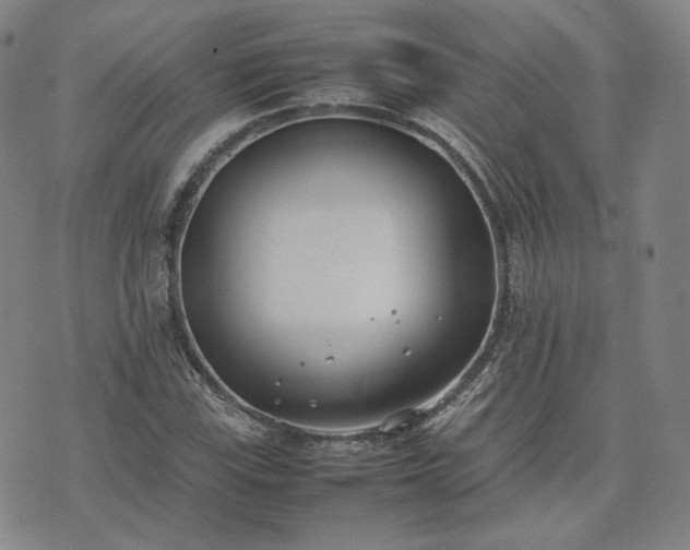 X0000074311115200609011505