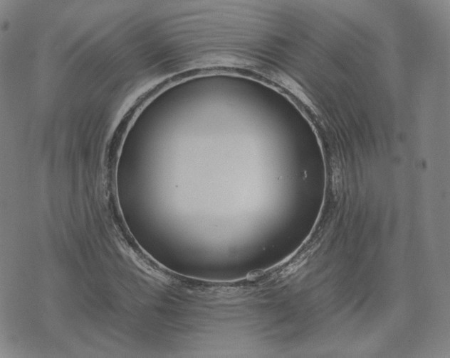 X0000074311116200609011505