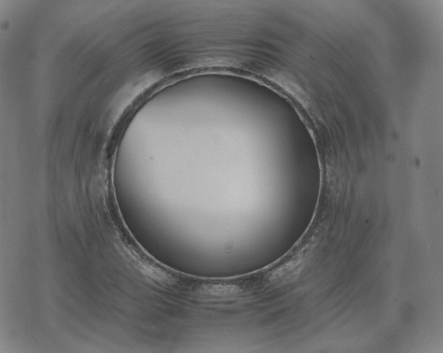 X0000074311119200609011505