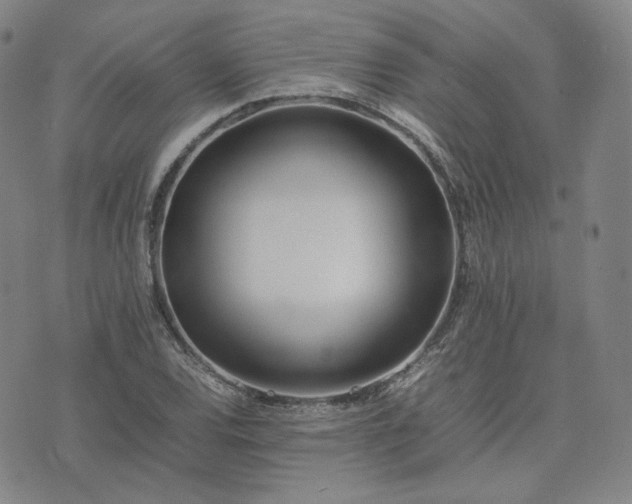 X0000074311120200609011505