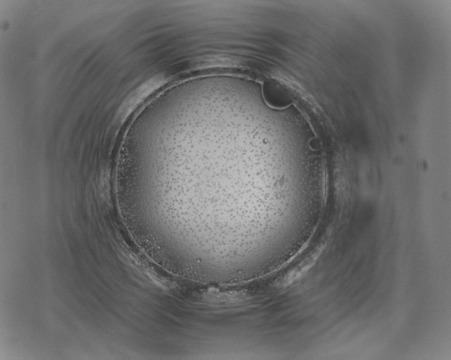 X0000074311121200609011505