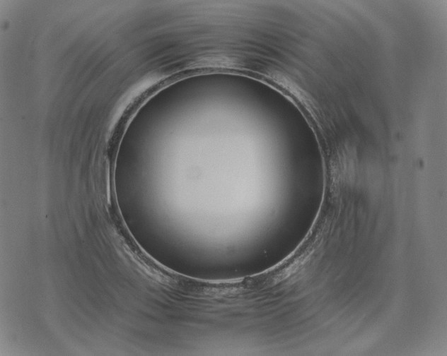 X0000074311123200609011505