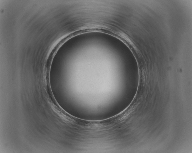 X0000074311124200609011505