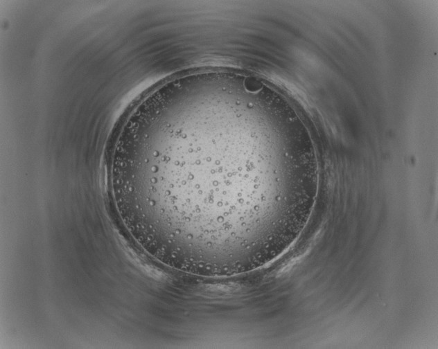 X0000074311125200609011505