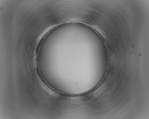 X0000074311126200609011505