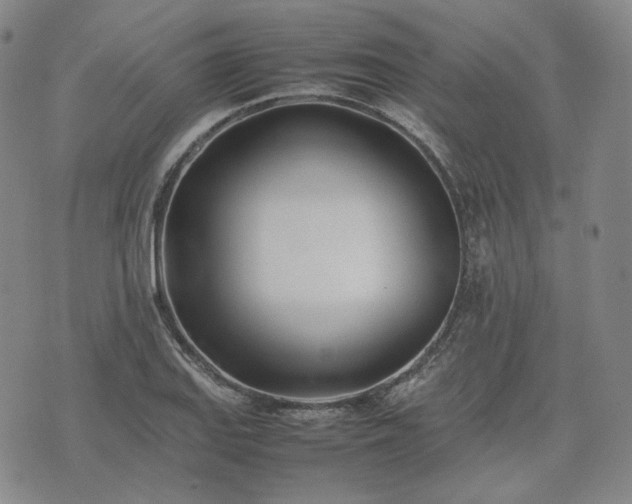 X0000074311127200609011505