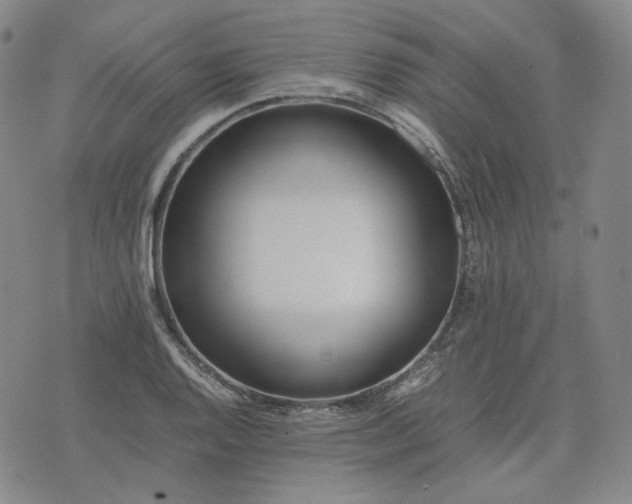 X0000074311128200609011505