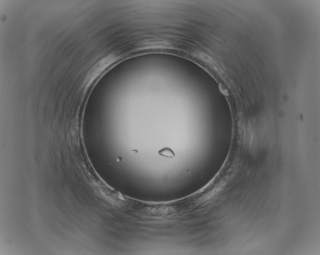 X0000074311129200609011505