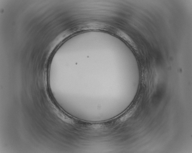 X0000074311130200609011505