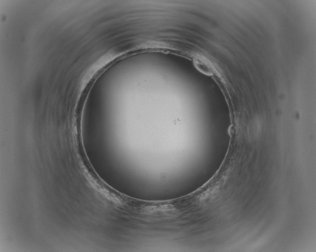 X0000074311133200609011506