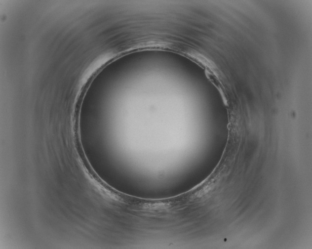 X0000074311135200609011506