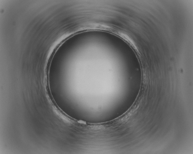 X0000074311136200609011506