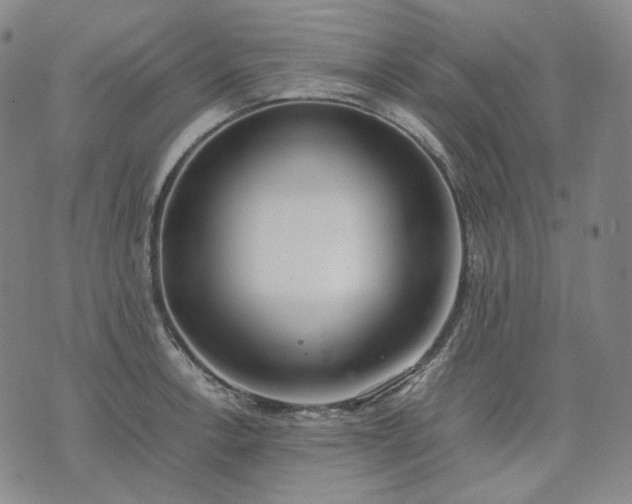 X0000074311138200609011506