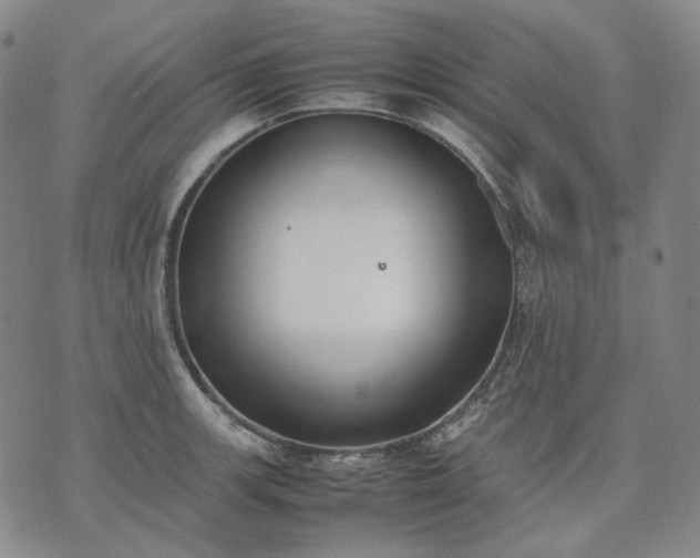 X0000074311139200609011506