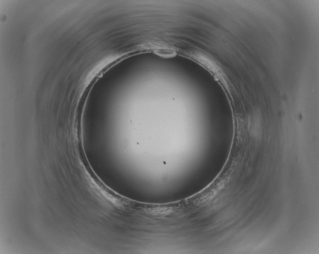 X0000074311141200609011506