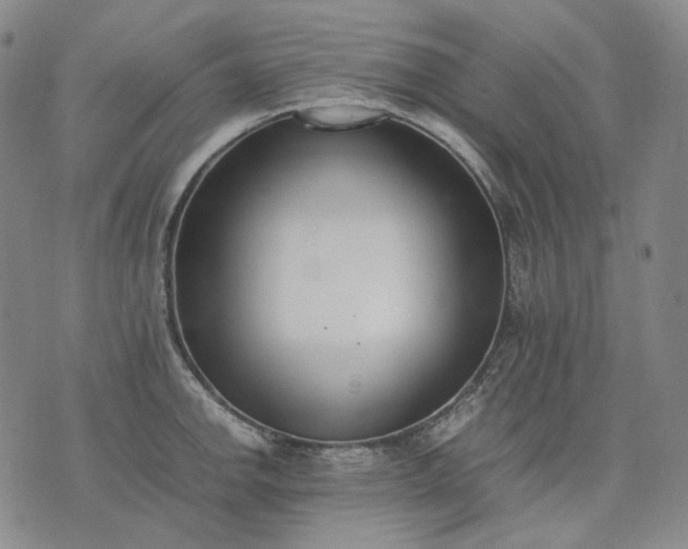 X0000074311142200609011506