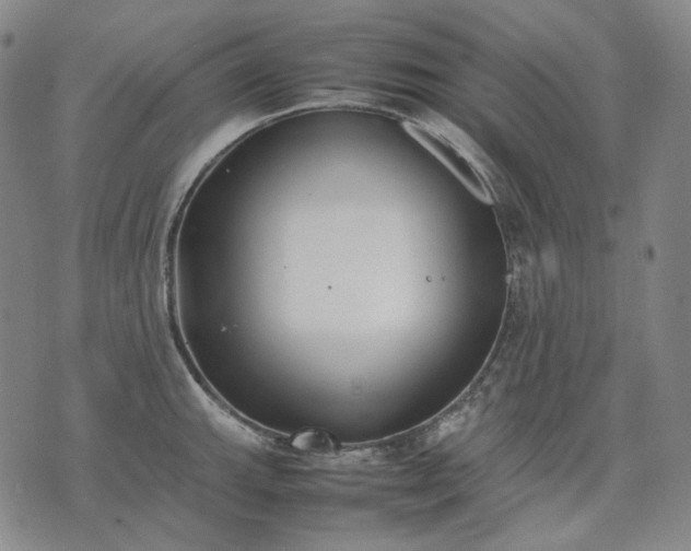 X0000074311143200609011506