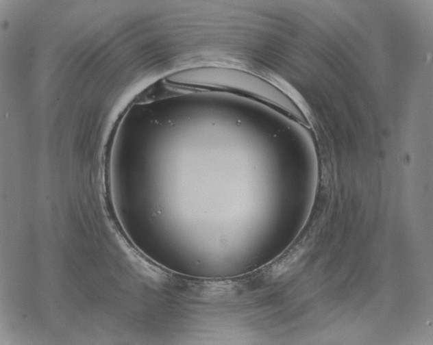 X0000074311144200609011506