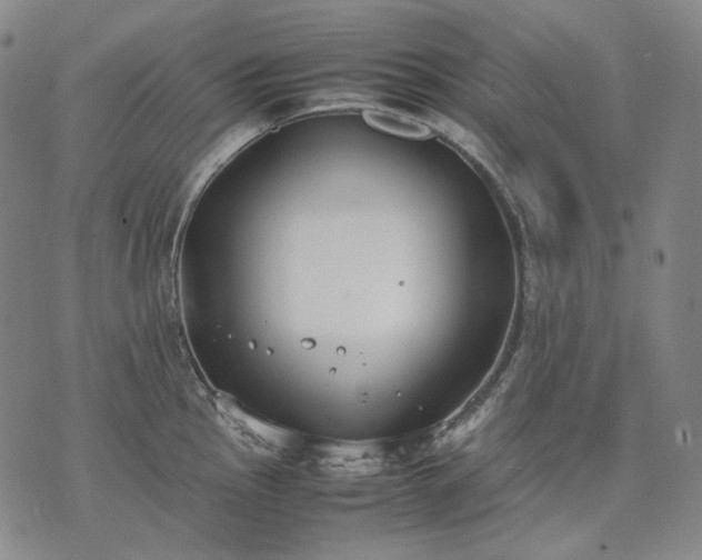 X0000074311145200609011506