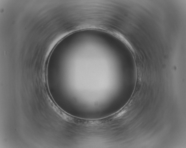 X0000074311148200609011506