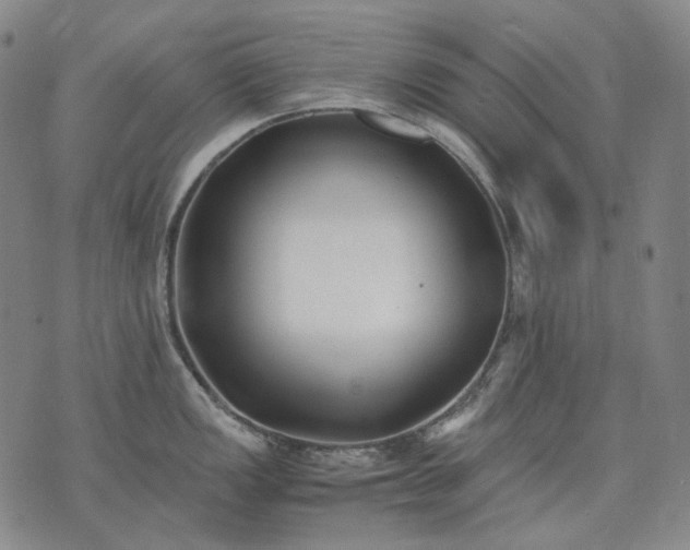 X0000074311149200609011506