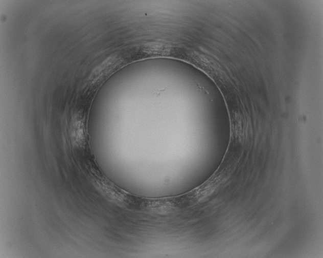 X0000074311154200609011505