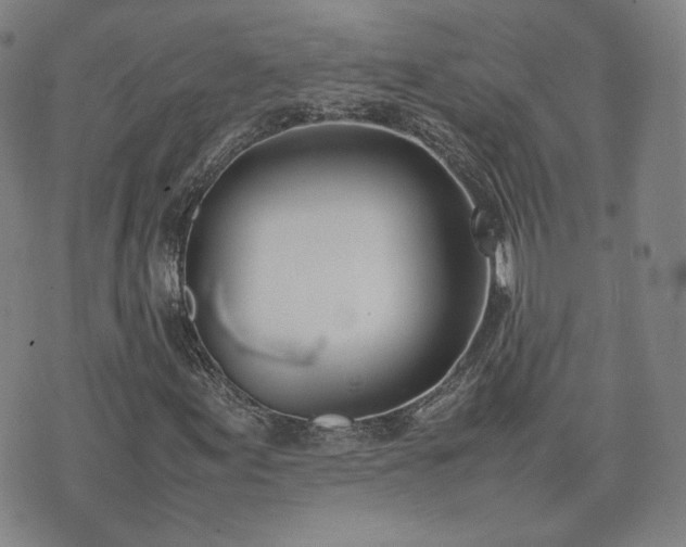 X0000074311155200609011505