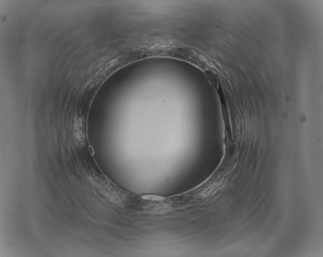 X0000074311156200609011505