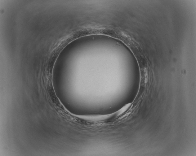 X0000074311157200609011505