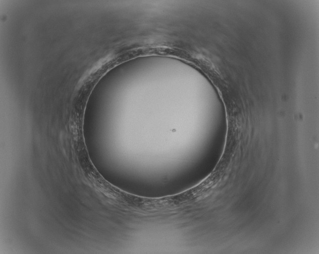 X0000074311159200609011505