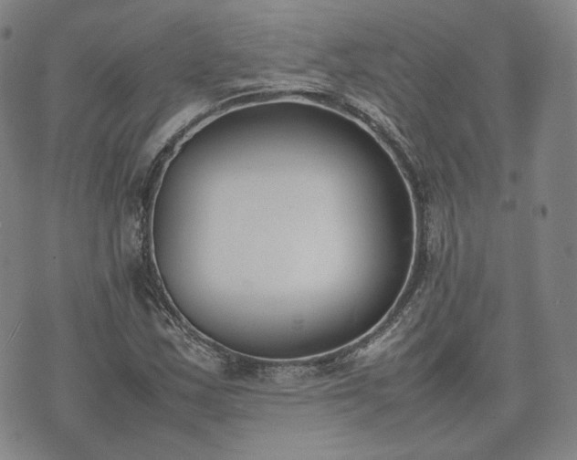 X0000074311163200609011505