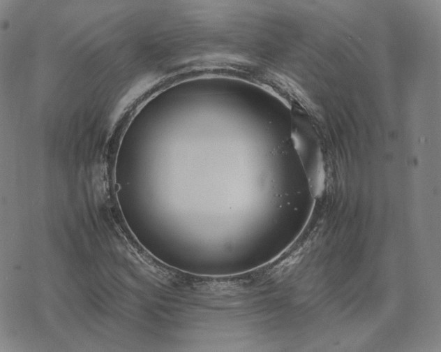 X0000074311164200609011505